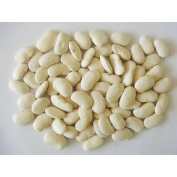 100% Natural Fashion White Kidney Bean Extract